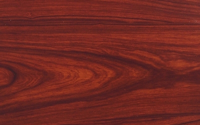 老挝红酸枝（巴里黄檀）